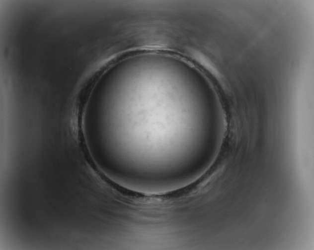 X0000089351456200706151053
