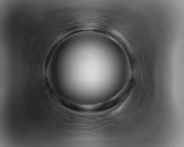 X0000089351457200706151053