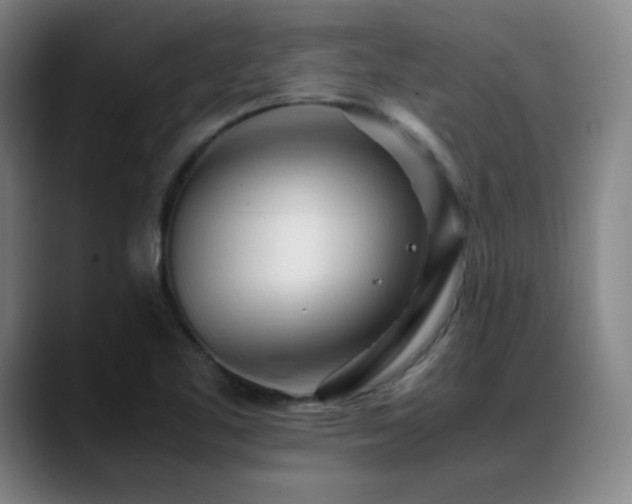 X0000089351461200706151052