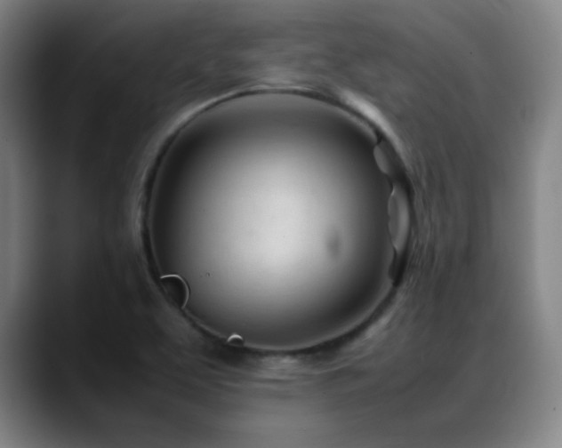 X0000089351463200706151052