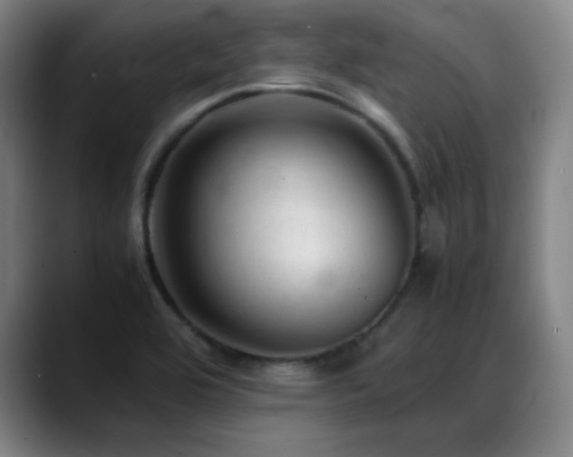 X0000089351464200706151052