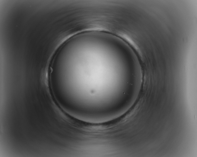 X0000089351468200706151052