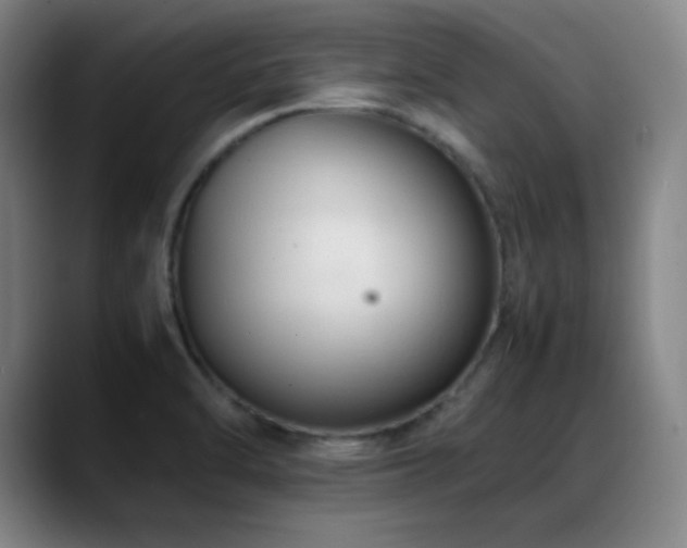 X0000089351470200706151052