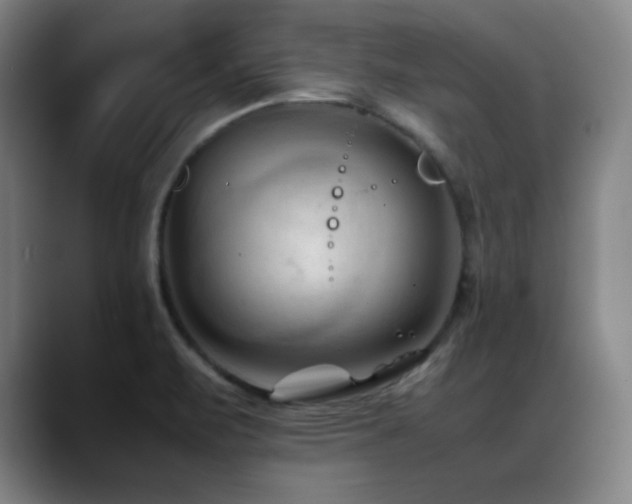 X0000089351471200706151052