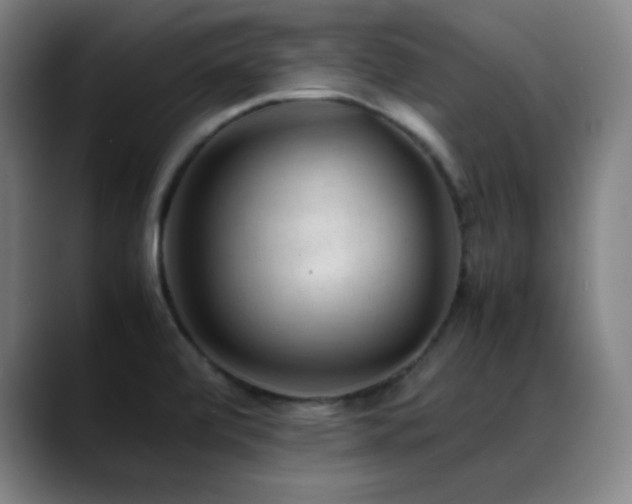 X0000089351472200706151052
