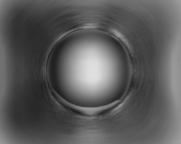 X0000089351473200706151052