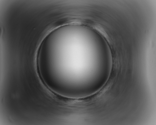 X0000089351475200706151052