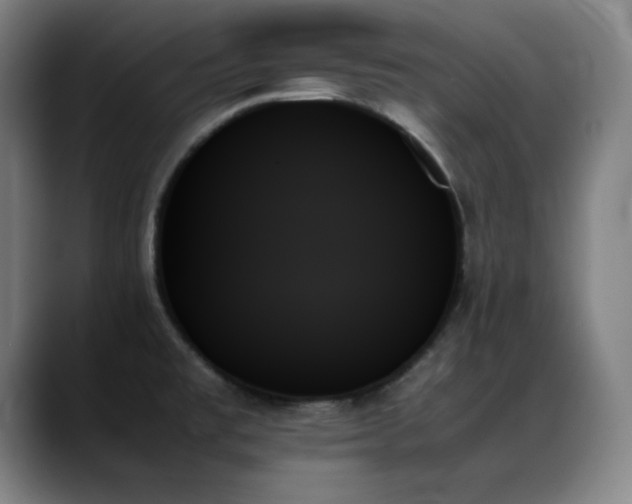 X0000089351477200706151052