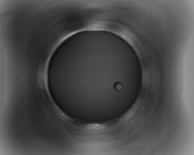 X0000089351478200706151052