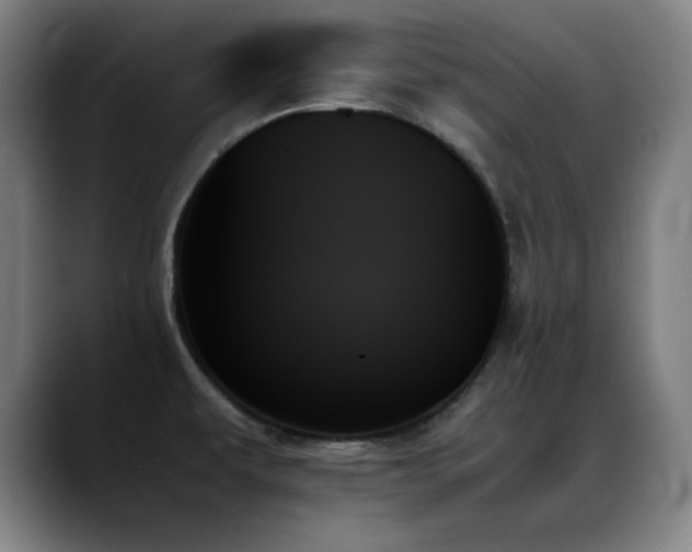 X0000089351479200706151052