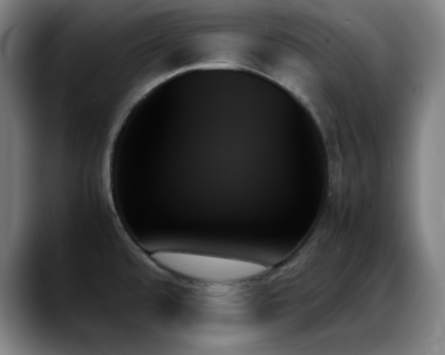X0000089351480200706151052