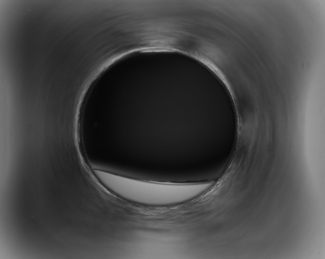 X0000089351485200706151052