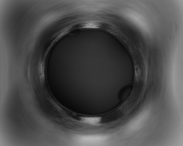 X0000089351487200706151052