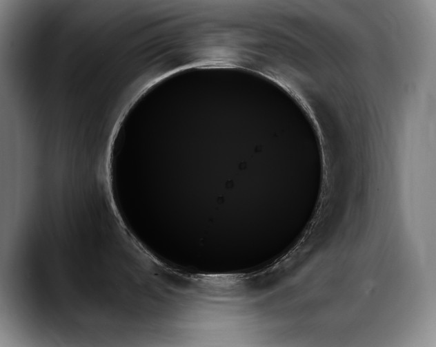X0000089351488200706151052