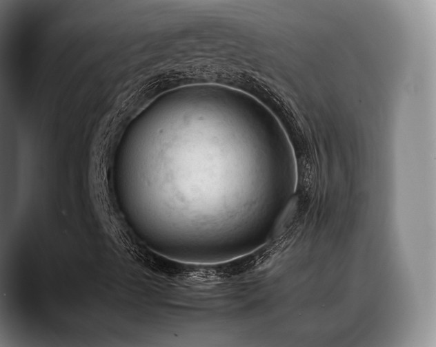 X0000089351489200706151052