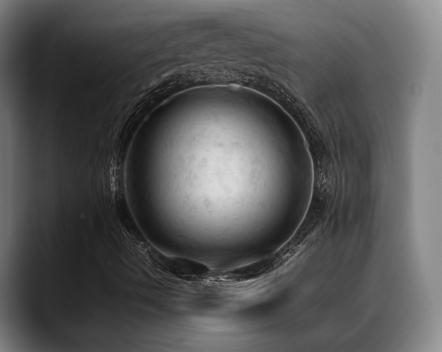 X0000089351490200706151052