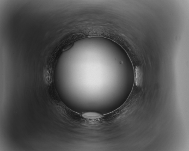 X0000089351491200706151052