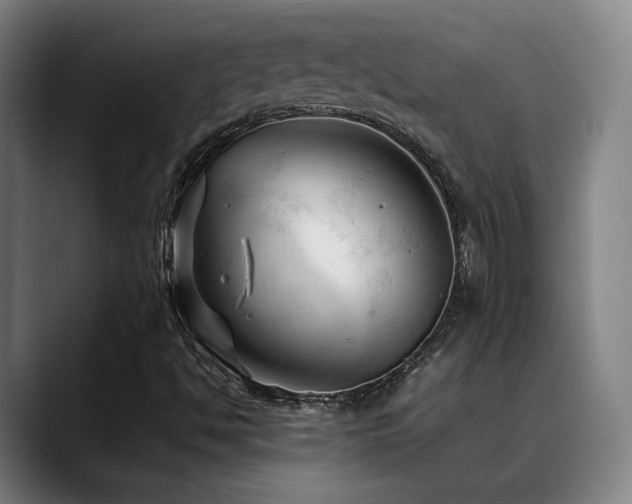 X0000089351494200706151052