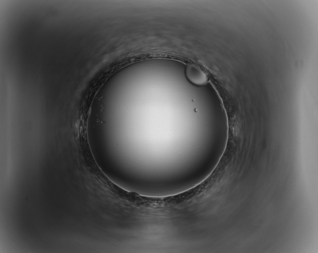 X0000089351495200706151052