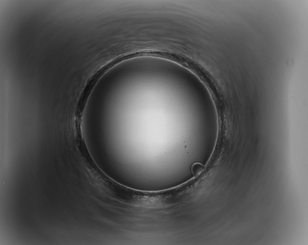 X0000089351497200706151052