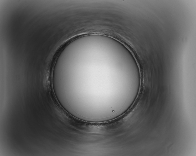 X0000089351498200706151052