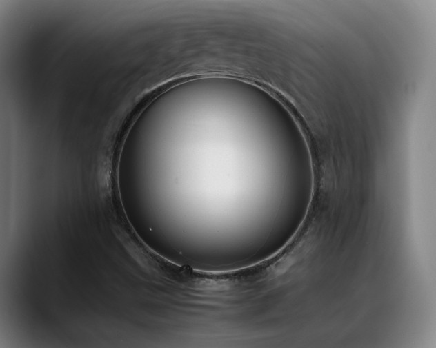 X0000089351499200706151052