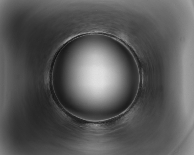 X0000089351500200706151052