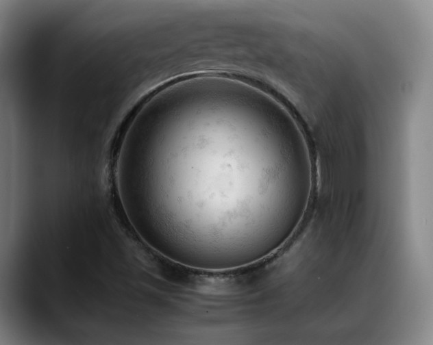 X0000089351501200706151052