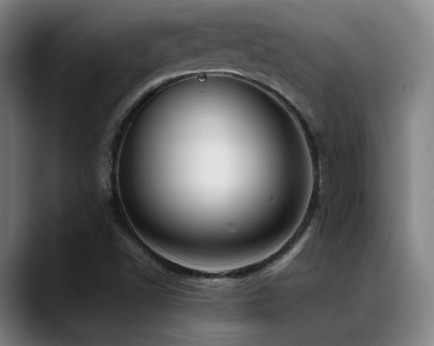 X0000089351502200706151052