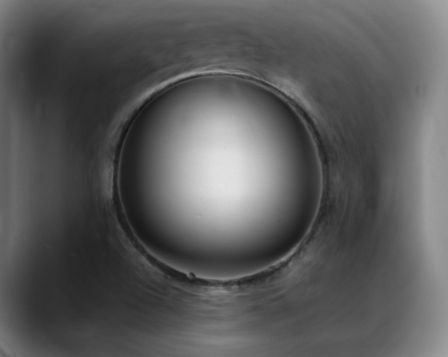 X0000089351504200706151052