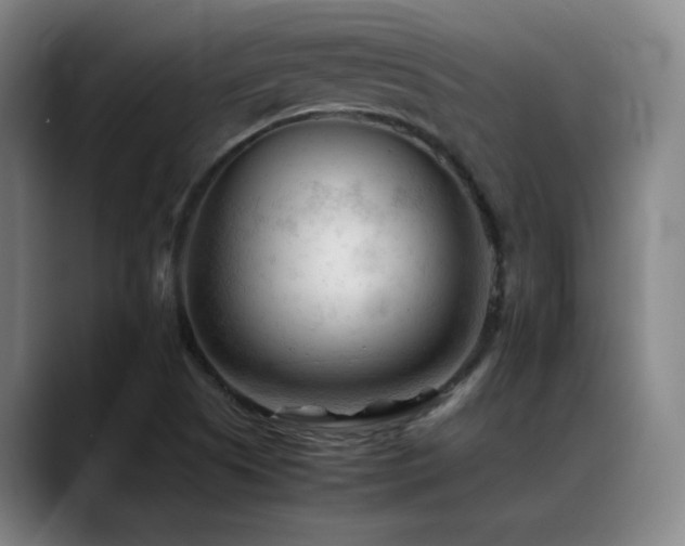 X0000089351505200706151052