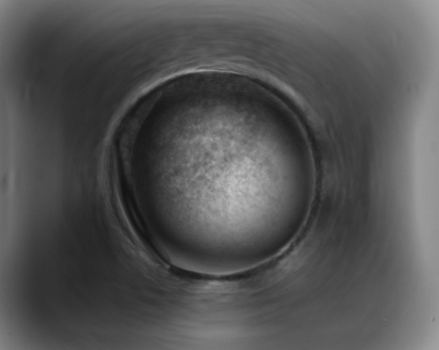 X0000089351506200706151052