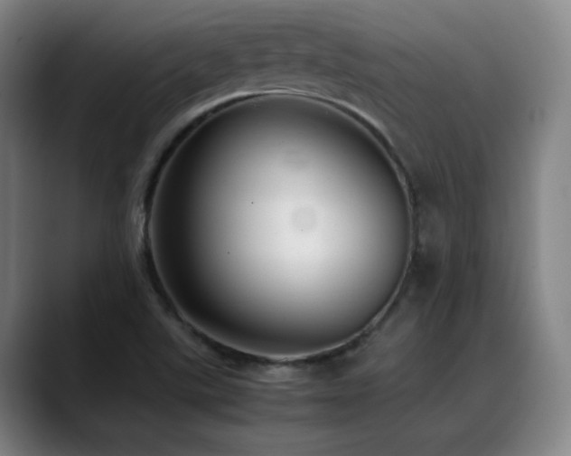 X0000089351507200706151052