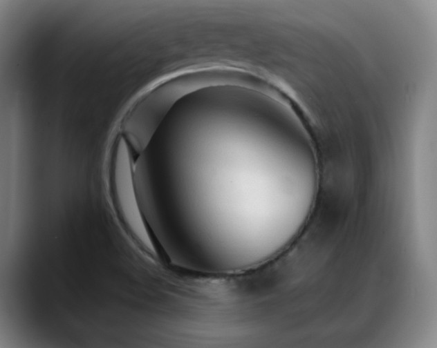 X0000089351508200706151052