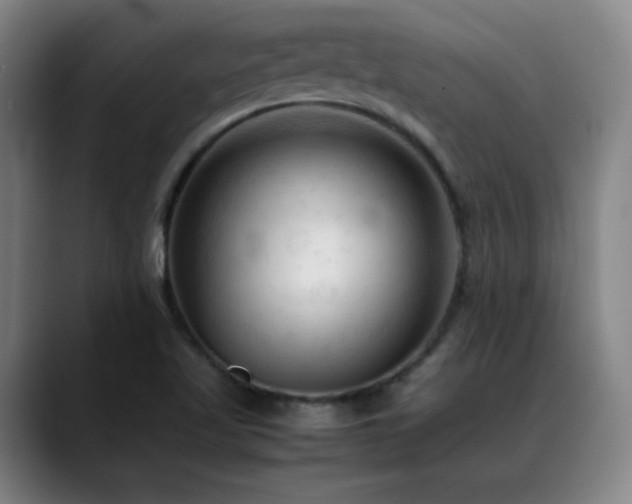 X0000089351509200706151052