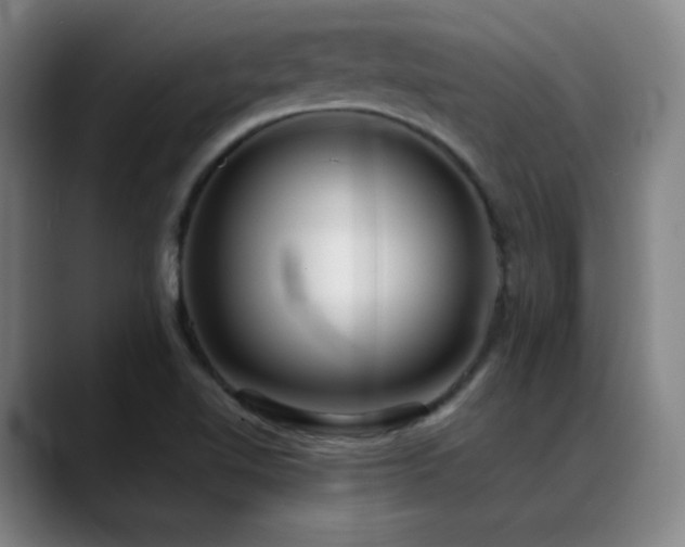 X0000089351510200706151052