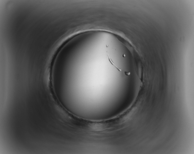 X0000089351511200706151052