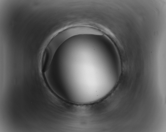 X0000089351512200706151052