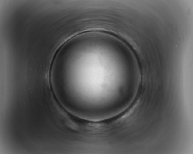 X0000089351513200706151052