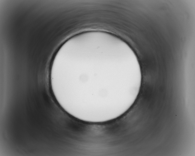 X0000089351514200706151052