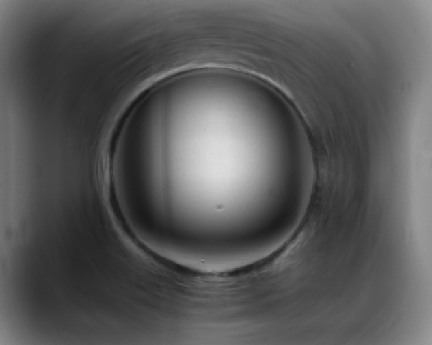 X0000089351515200706151052