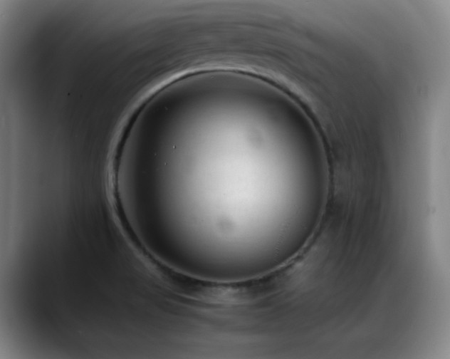 X0000089351517200706151052