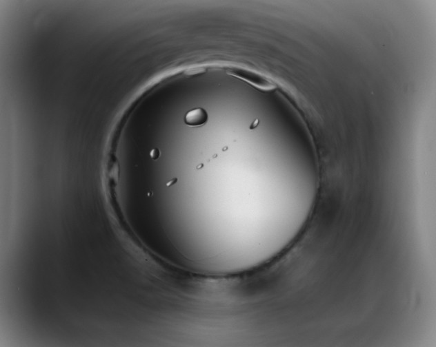 X0000089351518200706151052