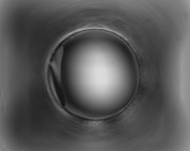 X0000089351519200706151052