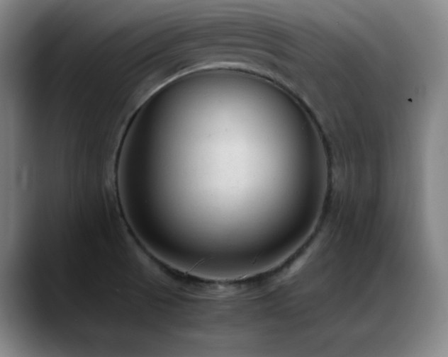 X0000089351521200706151052