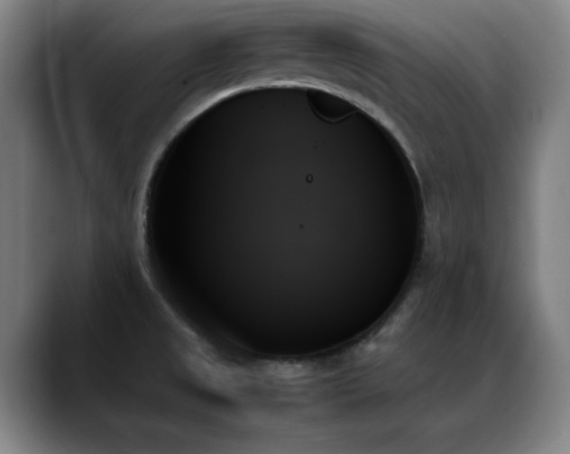 X0000089351525200706151052