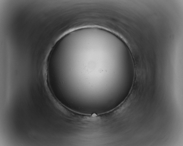 X0000089351526200706151052