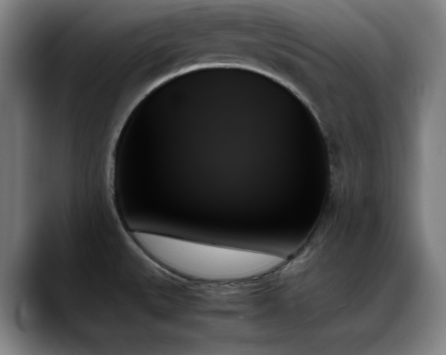 X0000089351527200706151052
