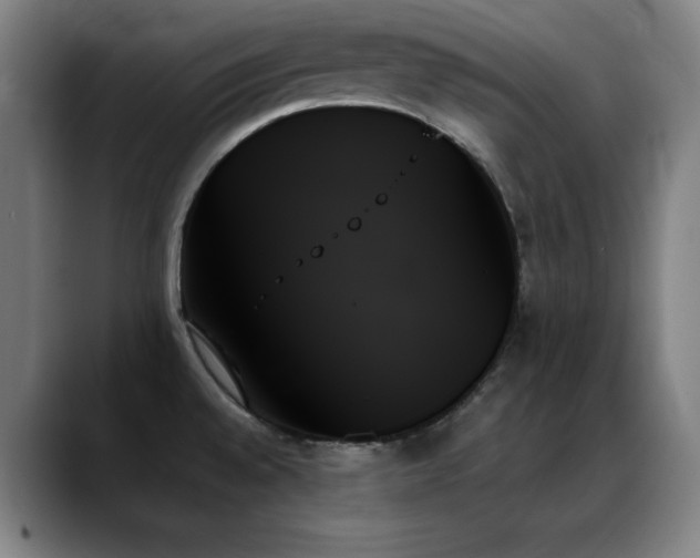 X0000089351528200706151052