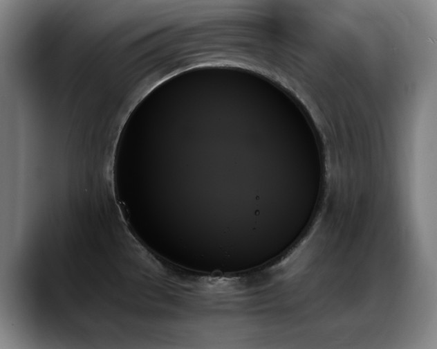 X0000089351529200706151052